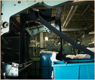 Napping and Shearing at MoCaro